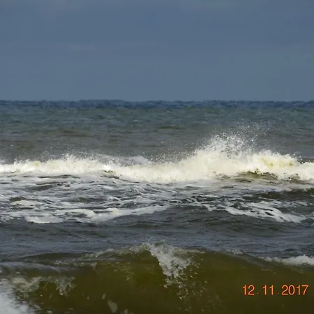 Polanki